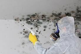 Best Crawl Space Mold Remediation  in Clarksburg, WV